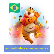 as coelhinhas acompanhantes